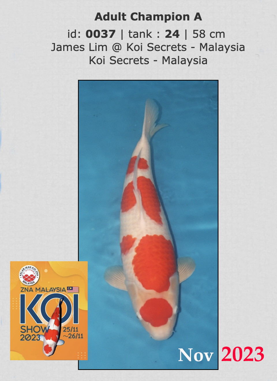 1b.-After-M-Kohaku-champion