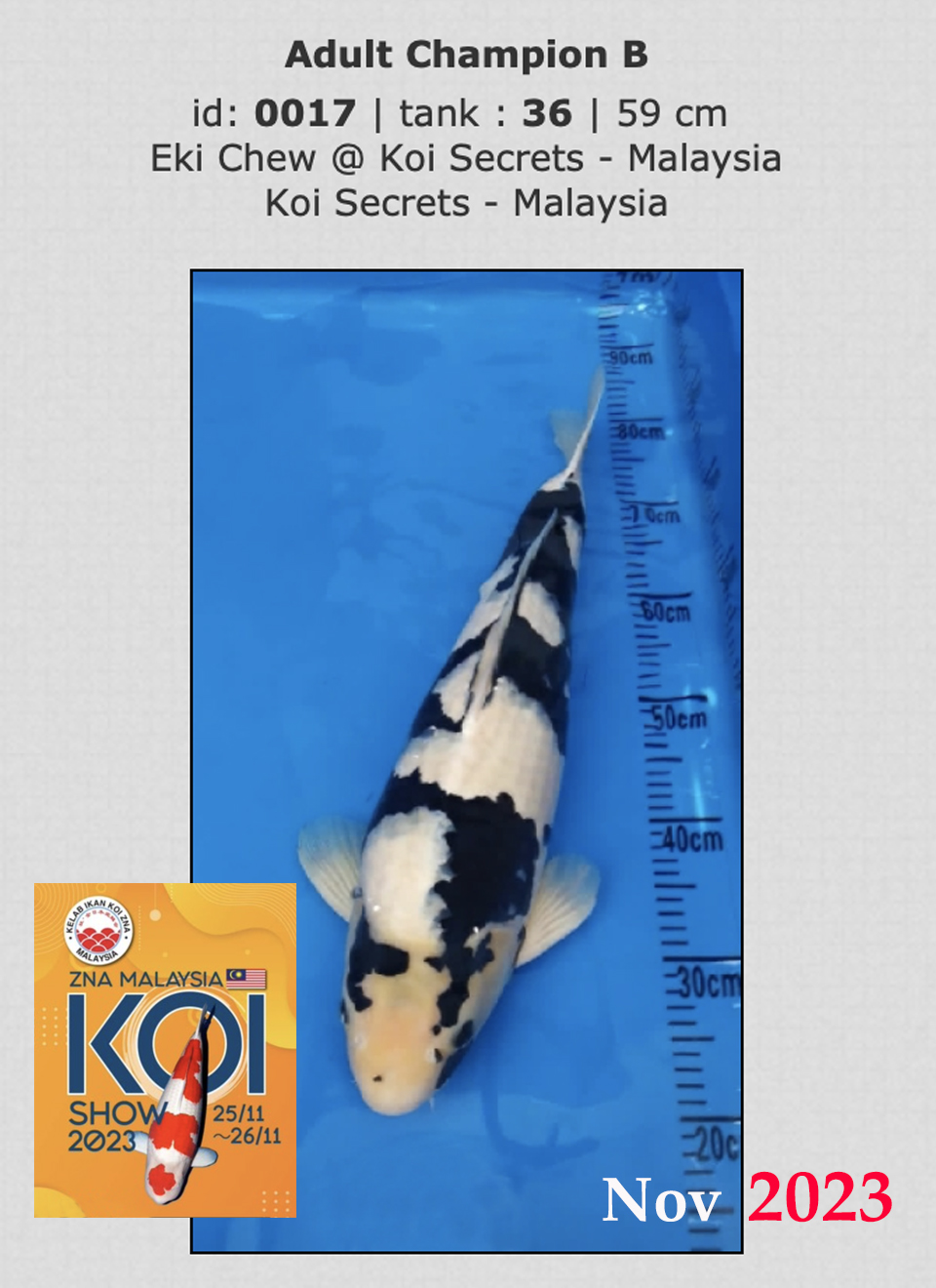 2a.-After-Shiro-champion