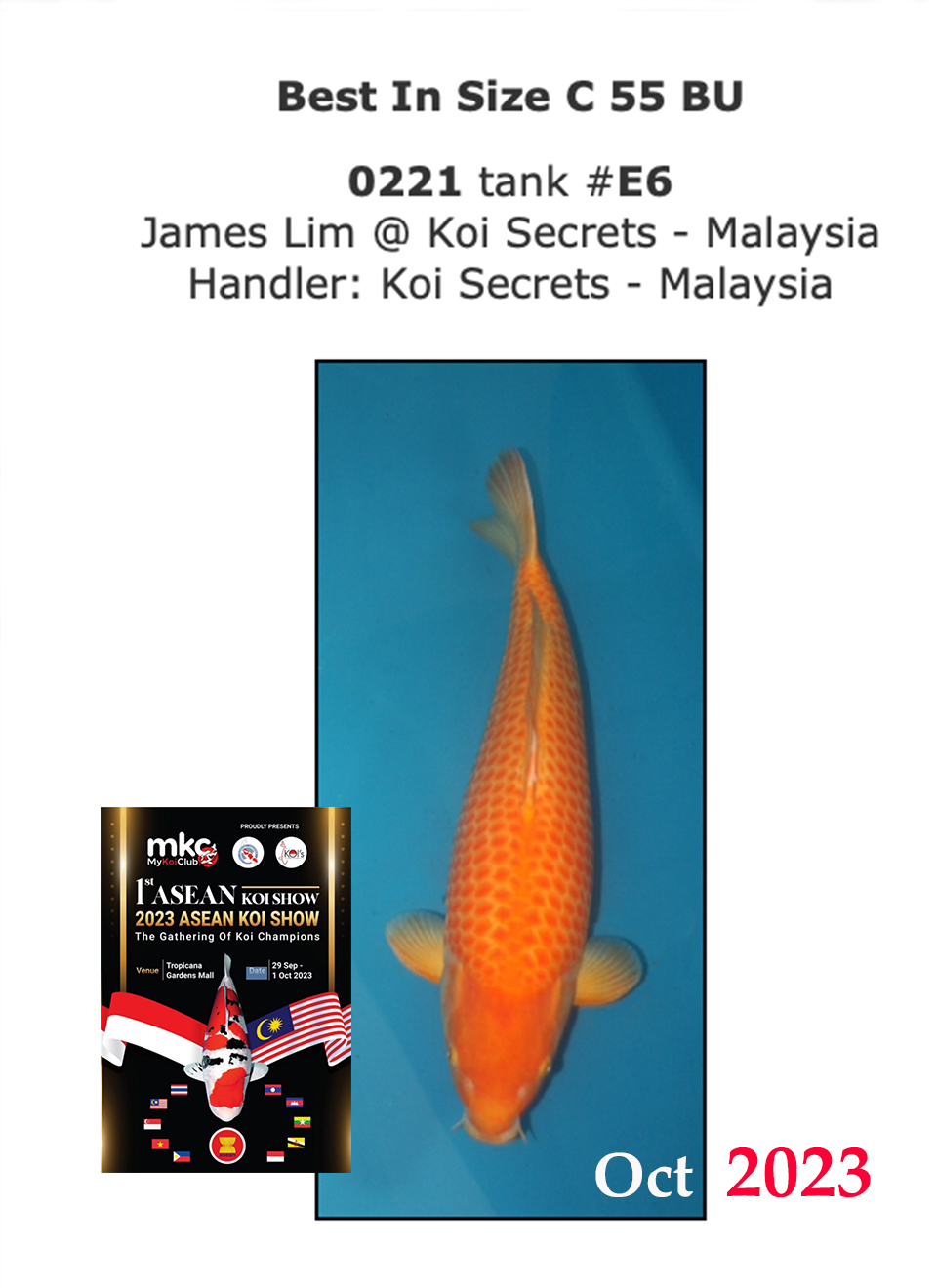 4a.-After-G-Corn-BIS